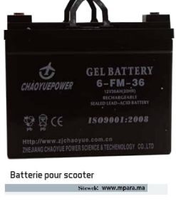 batterie pour scooter électrique handicapé